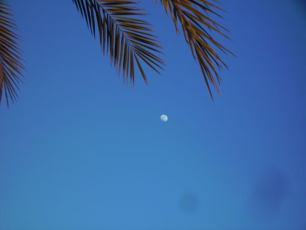 PICT0245