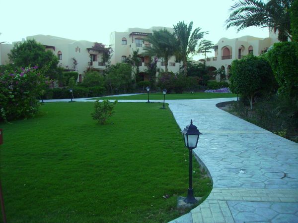 PICT0276