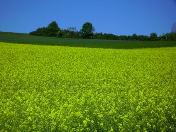 PICT0030