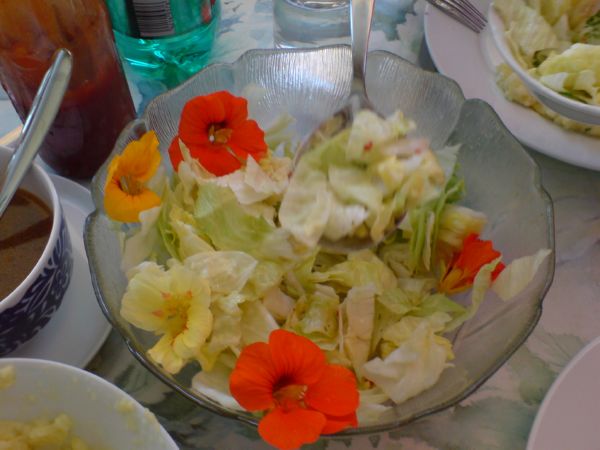 DSC00078